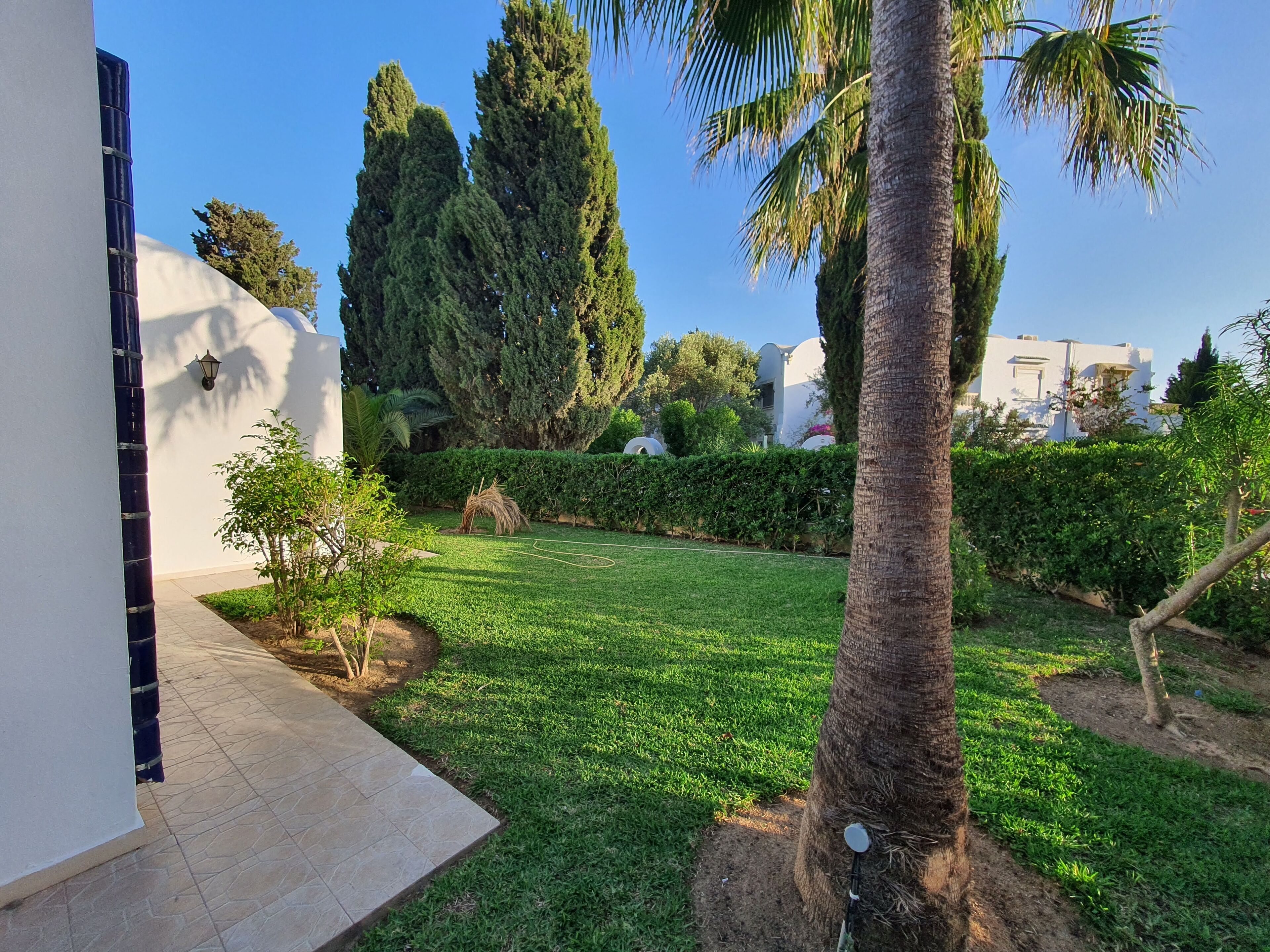 A well-maintained garden with a lawn, palm trees, and a white wall with a door.