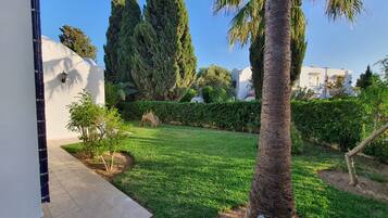 A well-maintained garden with a lawn, palm trees, and a white wall with a door.