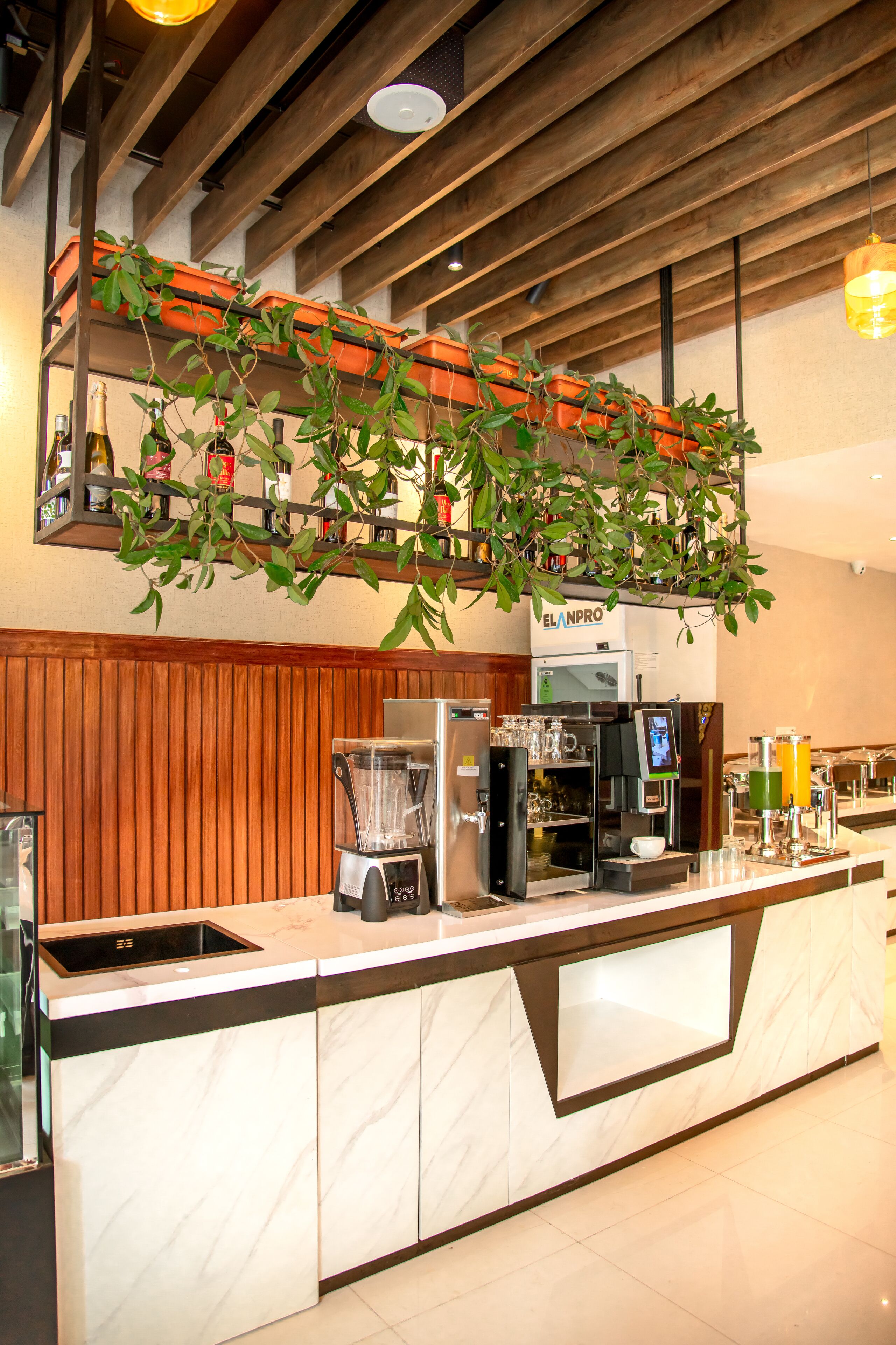 A modern kitchen with a marble countertop, built-in appliances, and a hanging plant.