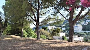 Ein Park mit einer Bank und Bäumen.