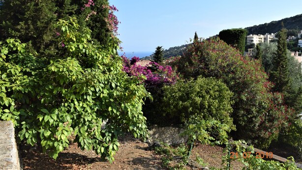 Ein Garten mit verschiedenen Bäumen und Sträuchern, einer Steinmauer und Blick auf das Meer sowie Gebäude im Hintergrund.