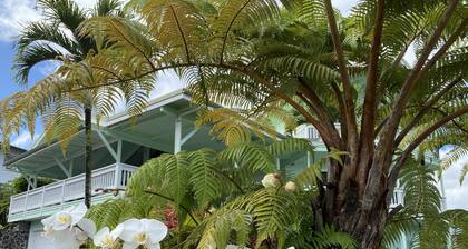 Reservations resumed Quiet hilltop location overlooking Hilo Bay.