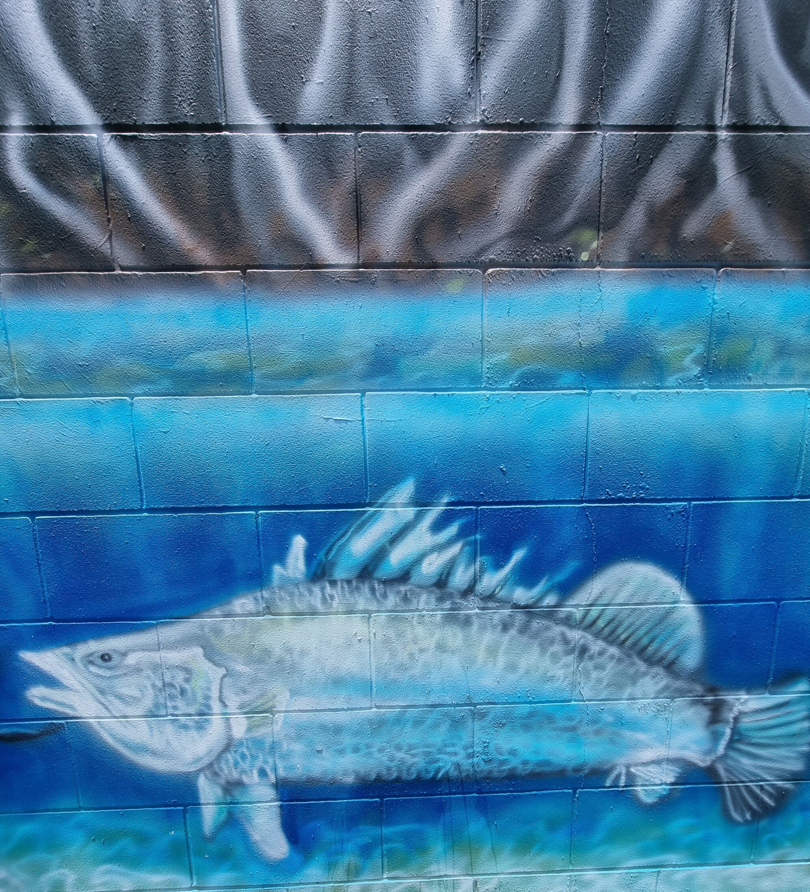 สระว่ายน้ำกลางแจ้ง