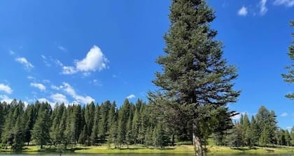 Stay on the River’s Edge ~ Fisherman’s Paradise