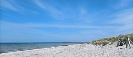 On the beach