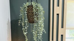 Une pièce avec un mur de couleur sombre, une plante suspendue, une lampe de chevet et un lit avec une literie à motifs.