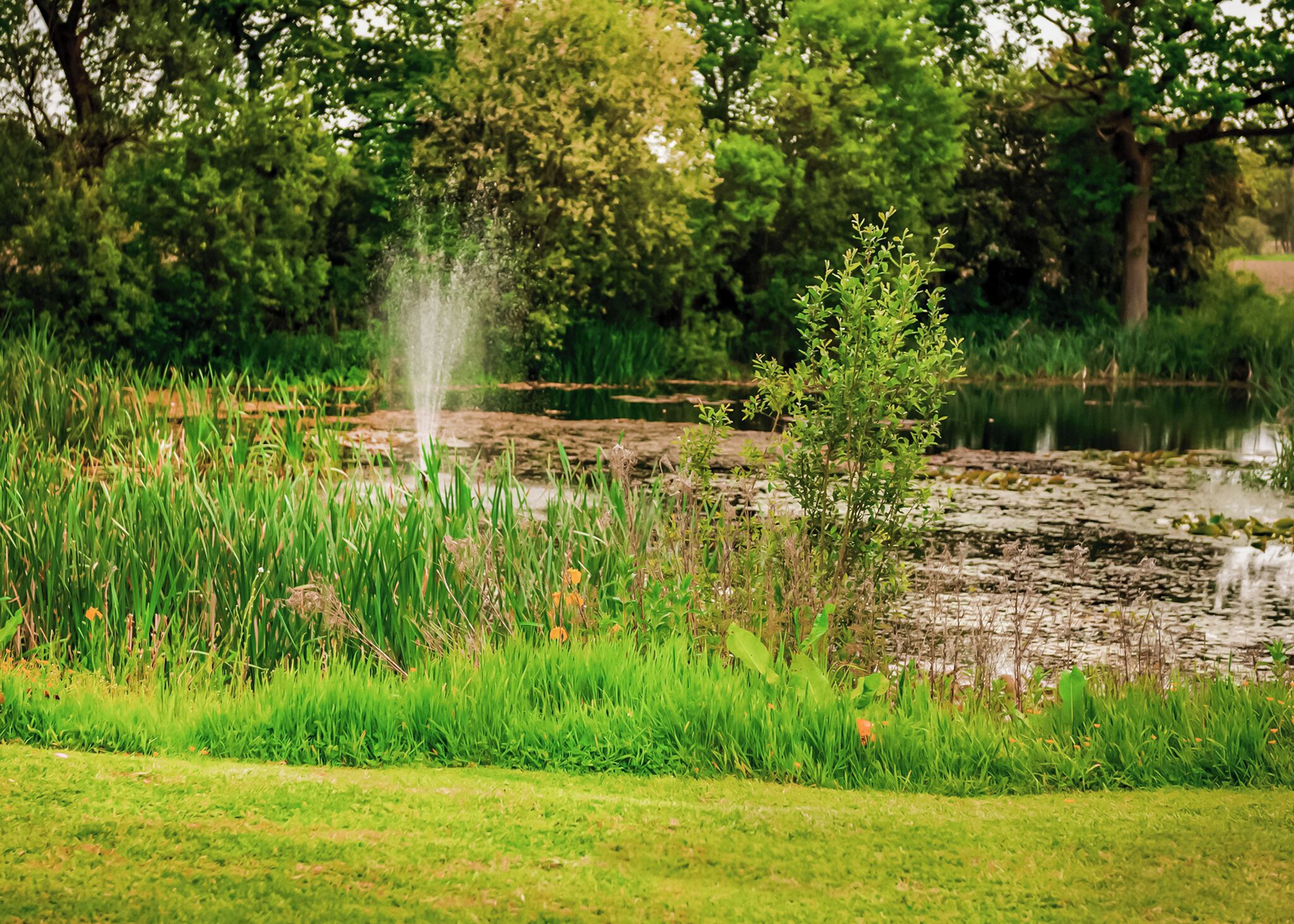 Jardines del alojamiento
