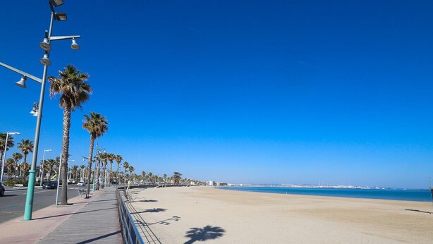 Un paseo marítimo con palmeras, una pasarela de madera y un cielo azul despejado.