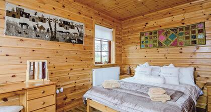 1 Schlafzimmer Unterkunft in Anglesey