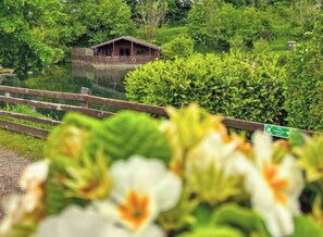 Una cabaña de madera junto a un estanque, rodeada de abundante vegetación.