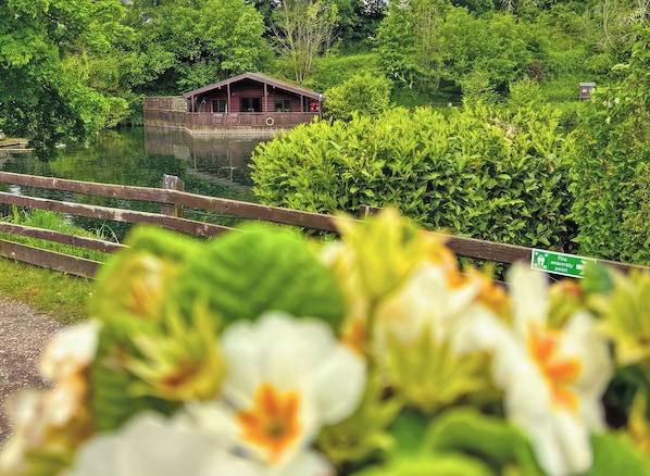Eine Holzhütte an einem Teich, umgeben von üppigem Grün.