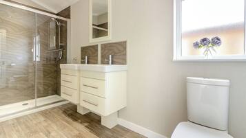 A modern bathroom with a glass shower enclosure, a white toilet, and a vanity with a mirror.