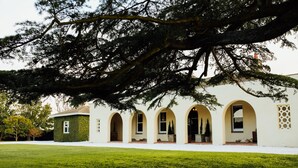 A building with a white exterior, multiple arched windows, and a large tree in the foreground. - Mount William Station (Willaura)