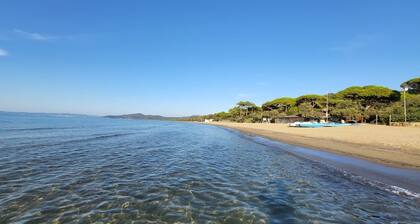 Villa Capinera, entire house with private park