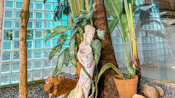 A statue of a woman holding a bowl, surrounded by large green leaves and a potted plant with a curved stem. - Pousada BellaSophia (Guarujá)