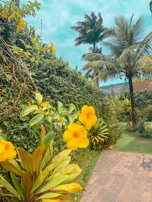 Jardim