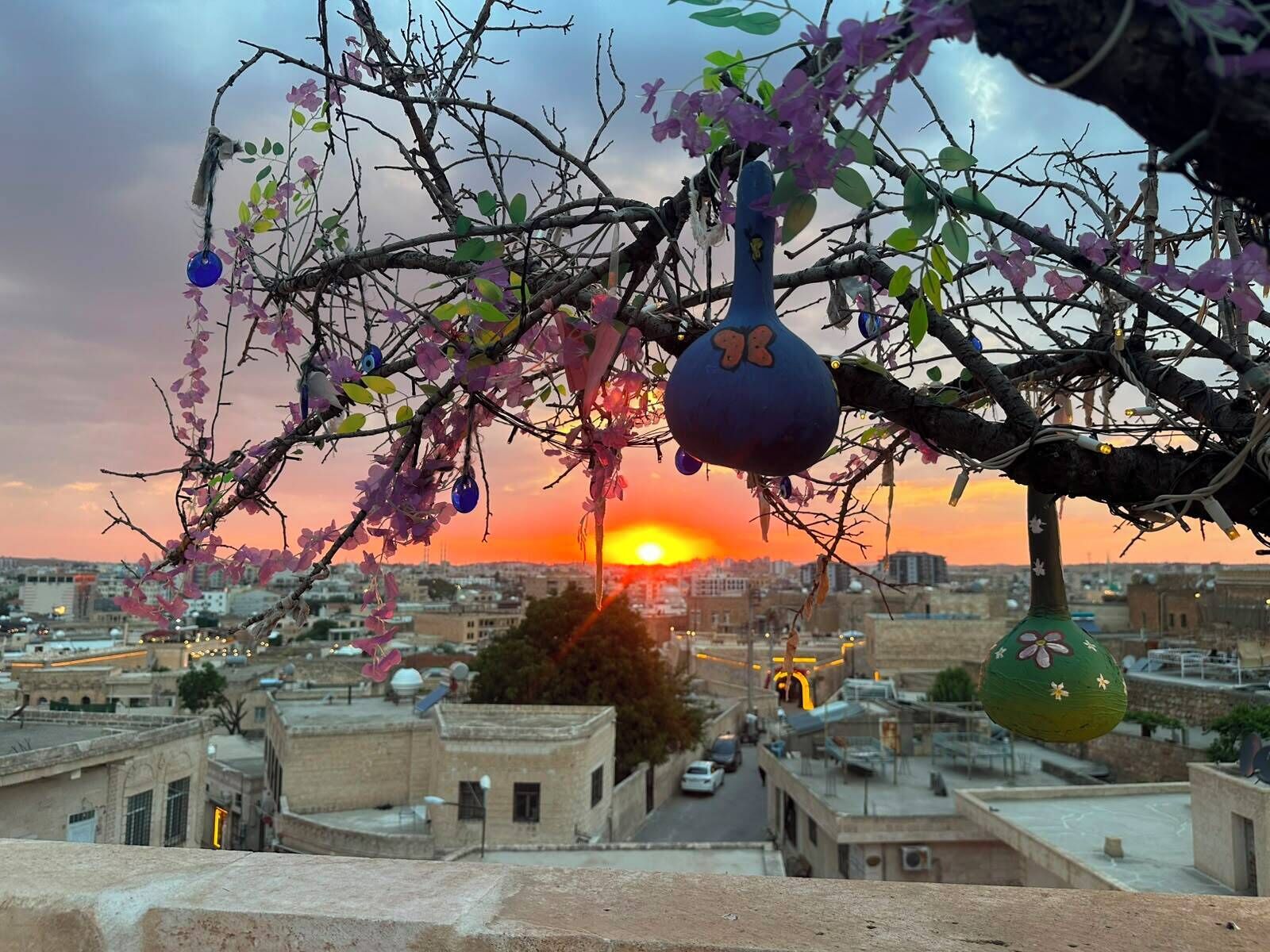 A sunset view with a tree adorned with decorative items and a cityscape in the background.