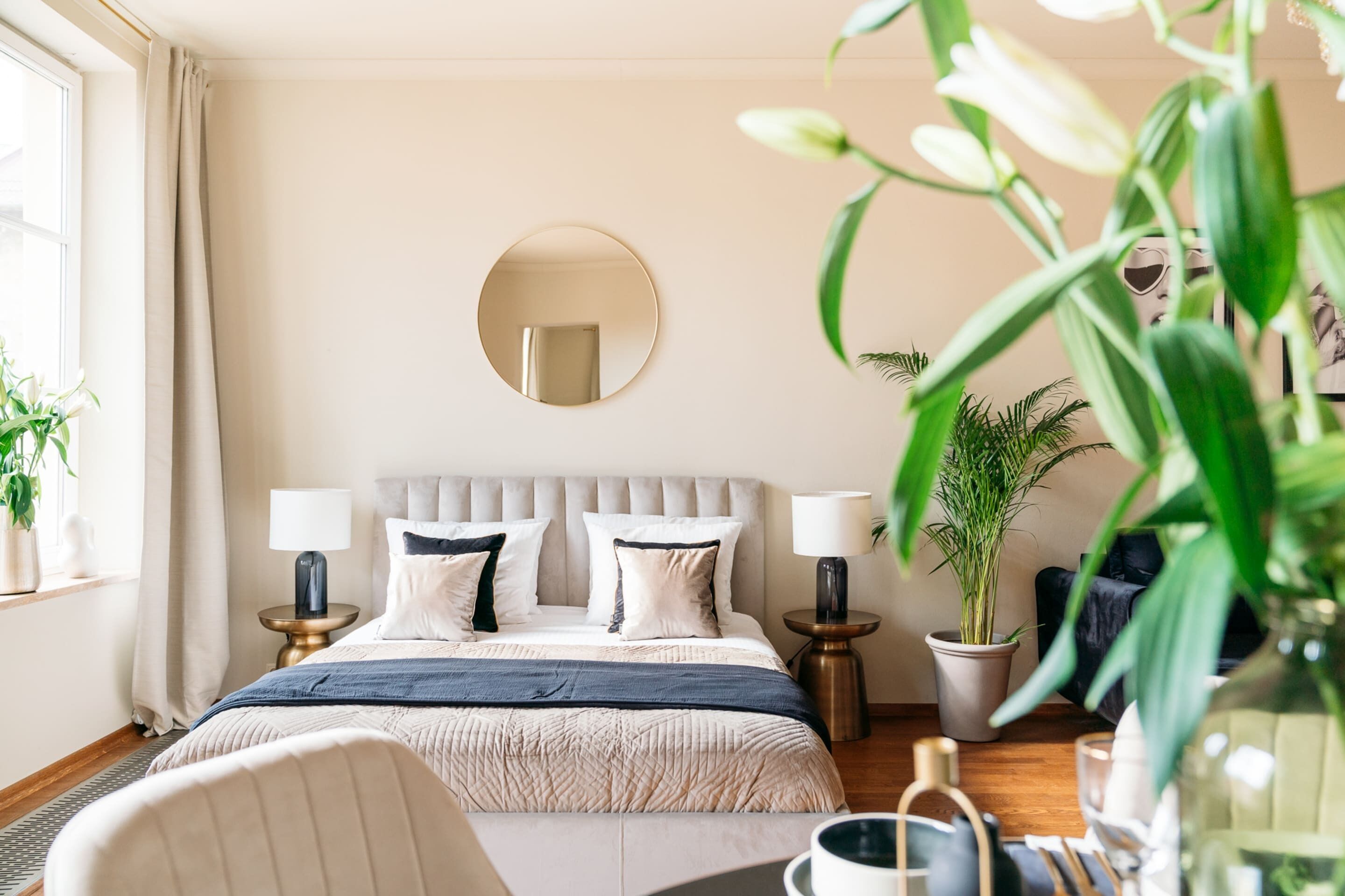 城市公寓 | 特色装修、特色家居、遮光窗帘、隔音