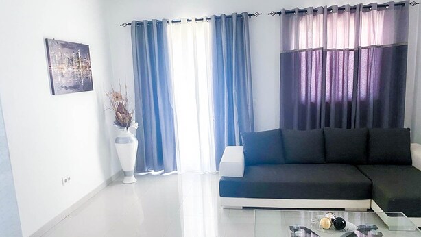 Un salon moderne avec un canapé, une table basse et un vase contenant des fleurs séchées.
