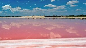 Beach nearby - For nature lovers and horses (fourques)