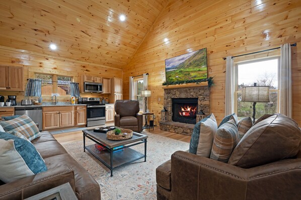 Télévision, cheminée, jeux vidéo, lecteur de DVD