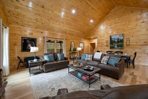 Télévision, cheminée, jeux vidéo, lecteur de DVD