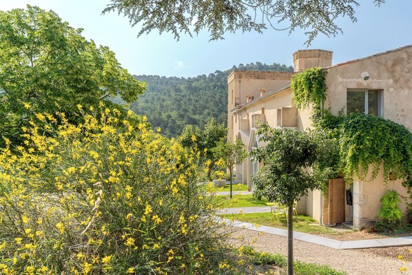 Property grounds - Maison Casa HI (Villelaure)