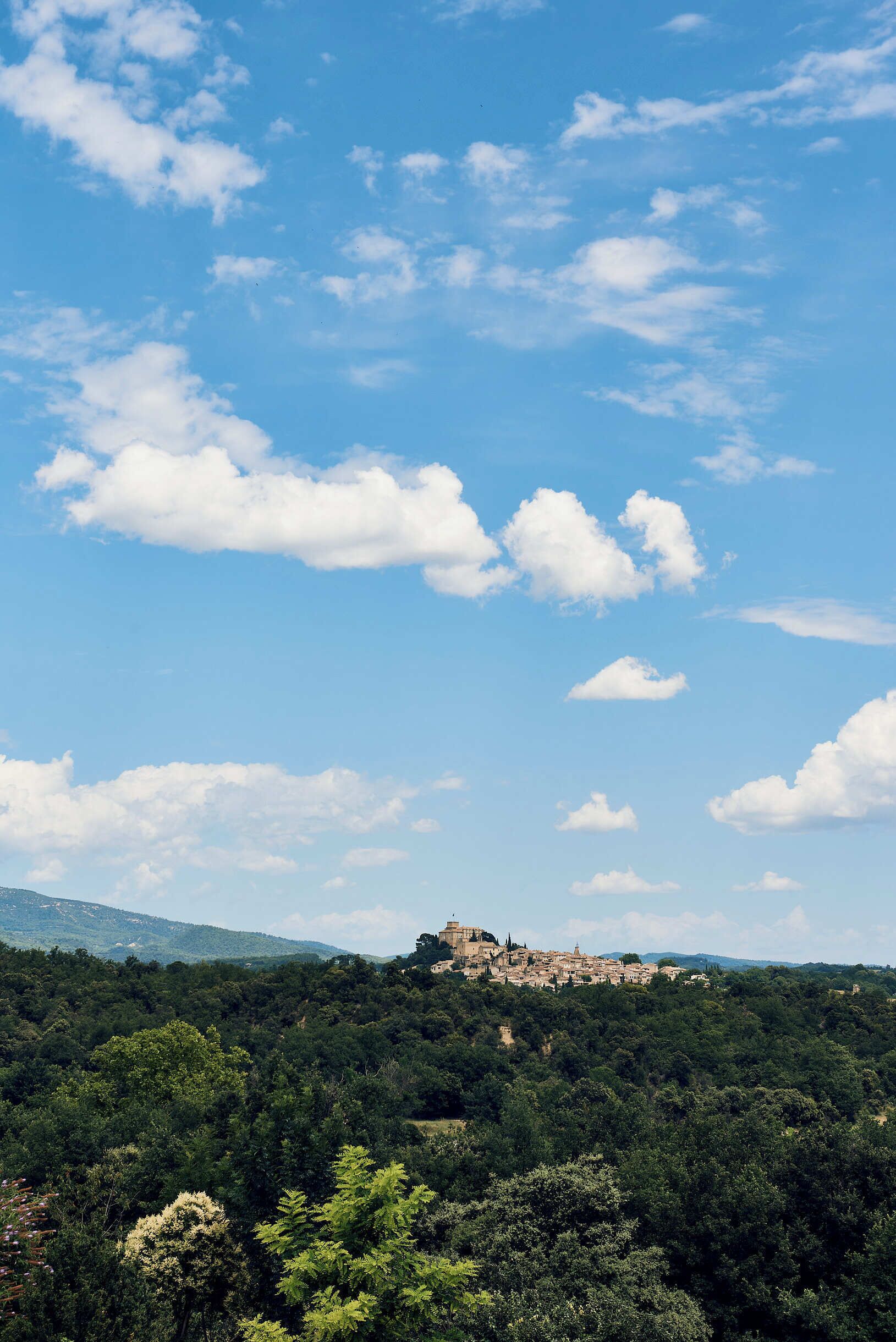 A landscape with a historic building on a hill, surrounded by dense forest.