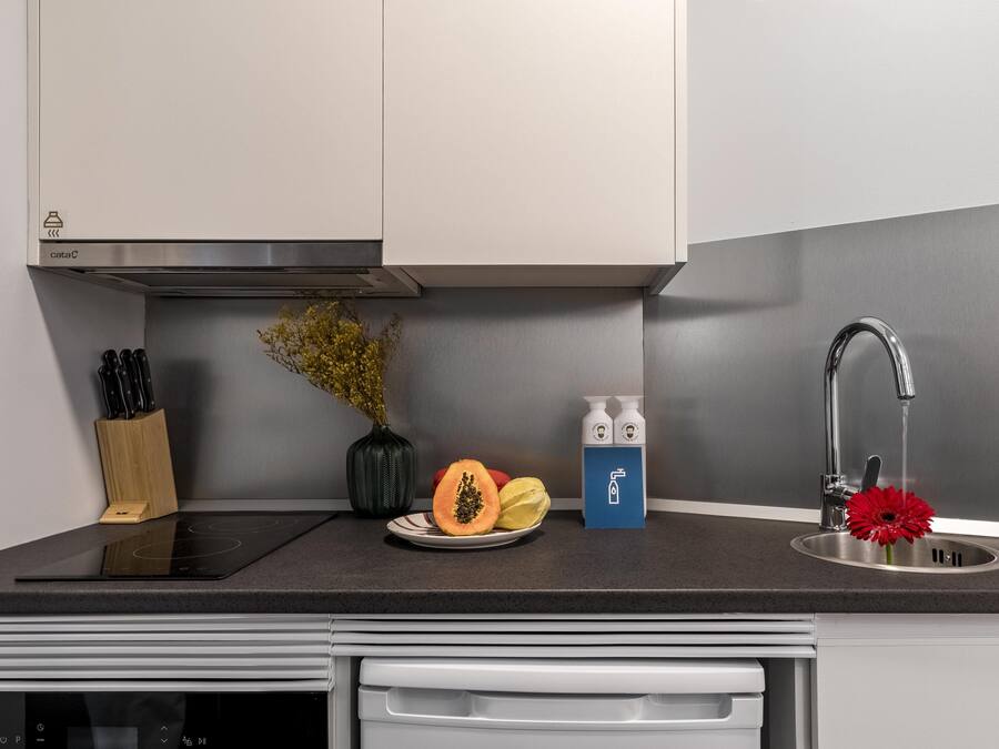 Een moderne keuken met een inbouwfornuis, een spoelbak en een aanrecht met een bloevas en een schaal fruit.