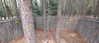 Modern Cabin in the Woods  One Level Home  Easy Access