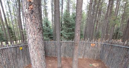 Modern Cabin in the Woods One Level Home Easy Access