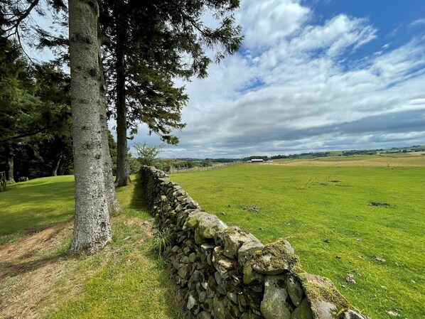 A stone wall beside a grassy field with trees and a distant building. - Beautiful 2BR Converted Mill - Idyllic Location - Pass the Keys (Dumfries)