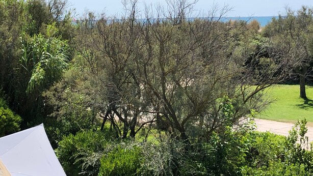 A lush garden with dense foliage and a clear view of the sea in the background. - La Dunette - Two Bedroom Apartment, Sleeps 4 (La Grande-Motte)