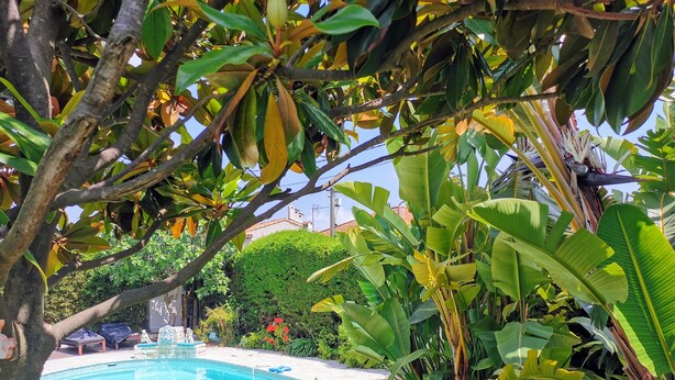 A pool area with a lounge chair and a small table, surrounded by lush tropical plants. - Blue Dream Cannes Guesthouse (Cannes)