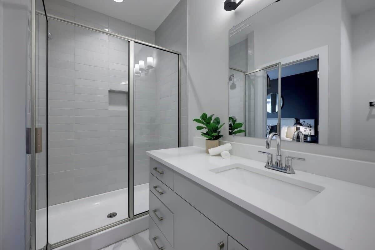 A modern bathroom with a glass shower enclosure, a white sink with a mirror, and a plant on the vanity.