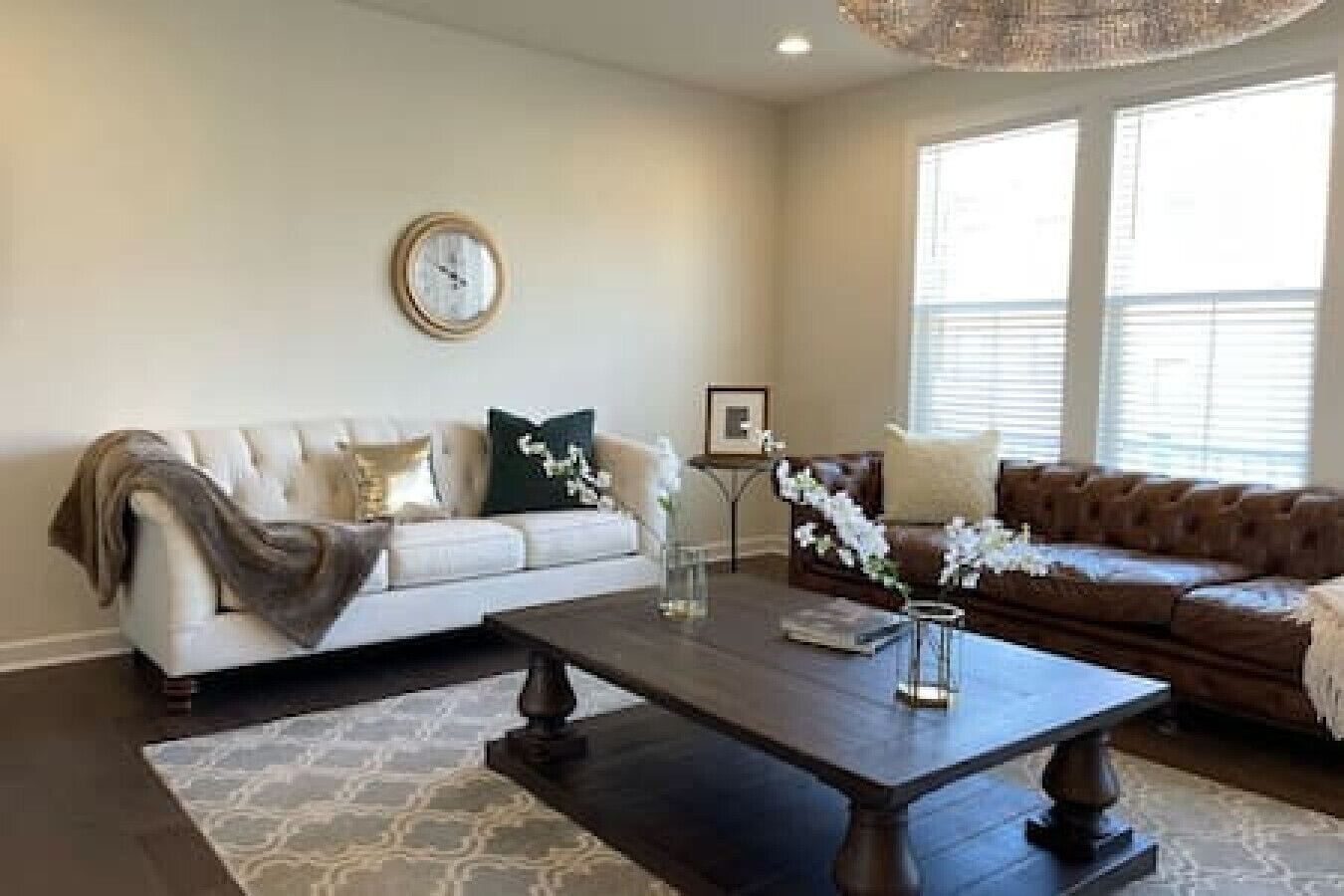 TV, computer monitors, printers