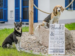 المنطقة المحيطة بالمنشأة