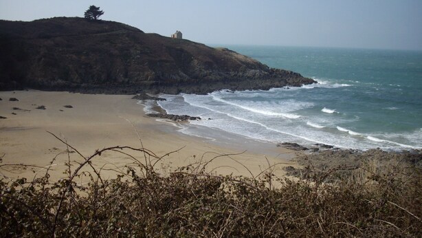 A coastal landscape with a sandy beach, rocky cliffs, and a solitary tree. - Everything on foot and in the peace and quiet! (Pléneuf-Val-André)