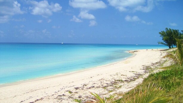 Ein Strand mit klarem türkisblauem Wasser, sandigem Ufer und vereinzelten Bäumen.