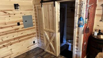 Shower, towels, toilet paper