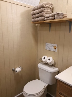 Shower, hair dryer