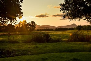 Exterior - Cardross Estate Glamping (Stirling)