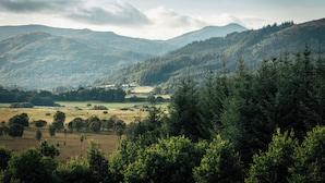 A mountainous landscape with dense forests and open fields. - Cardross Estate Glamping (Stirling)