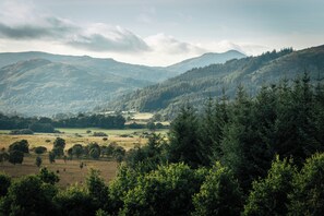 Land view from property - Cardross Estate Glamping (Stirling)