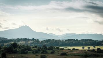 Cabaña de lujo, varias camas, vistas al valle | Vistas desde la habitación