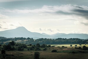 Luxury Cabin, Multiple Beds, Valley View | View from room