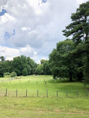 Property grounds - Minutes to the MASTERS! (Evans)