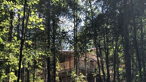 A forested area with a building partially obscured by trees.