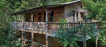 Twin Cedars Cabin in the Woods!  Birders paradise near Sipsey and Bankhead