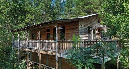 Twin Cedars Cabin in the Woods! Birders paradise near Sipsey and Bankhead